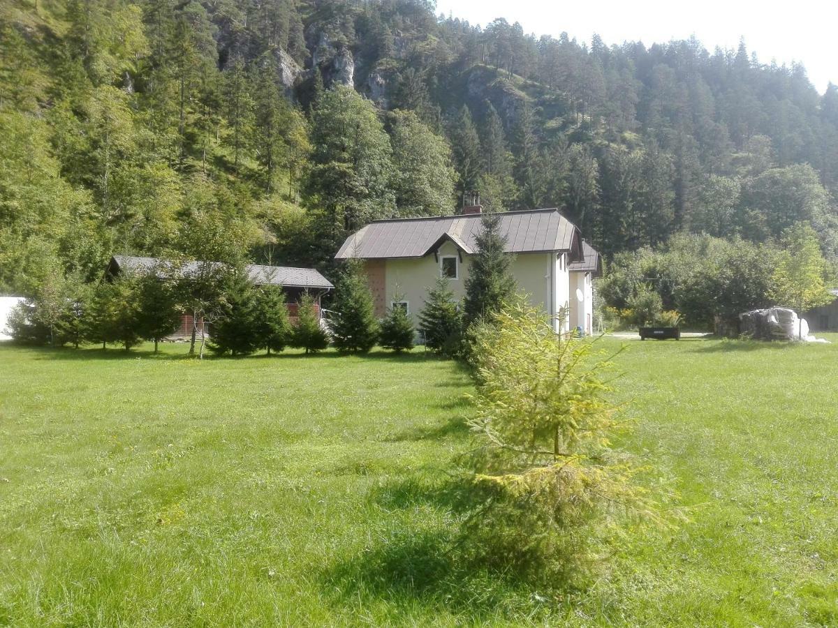 Penzion Black Sheeps Adventures Wildalpen Εξωτερικό φωτογραφία