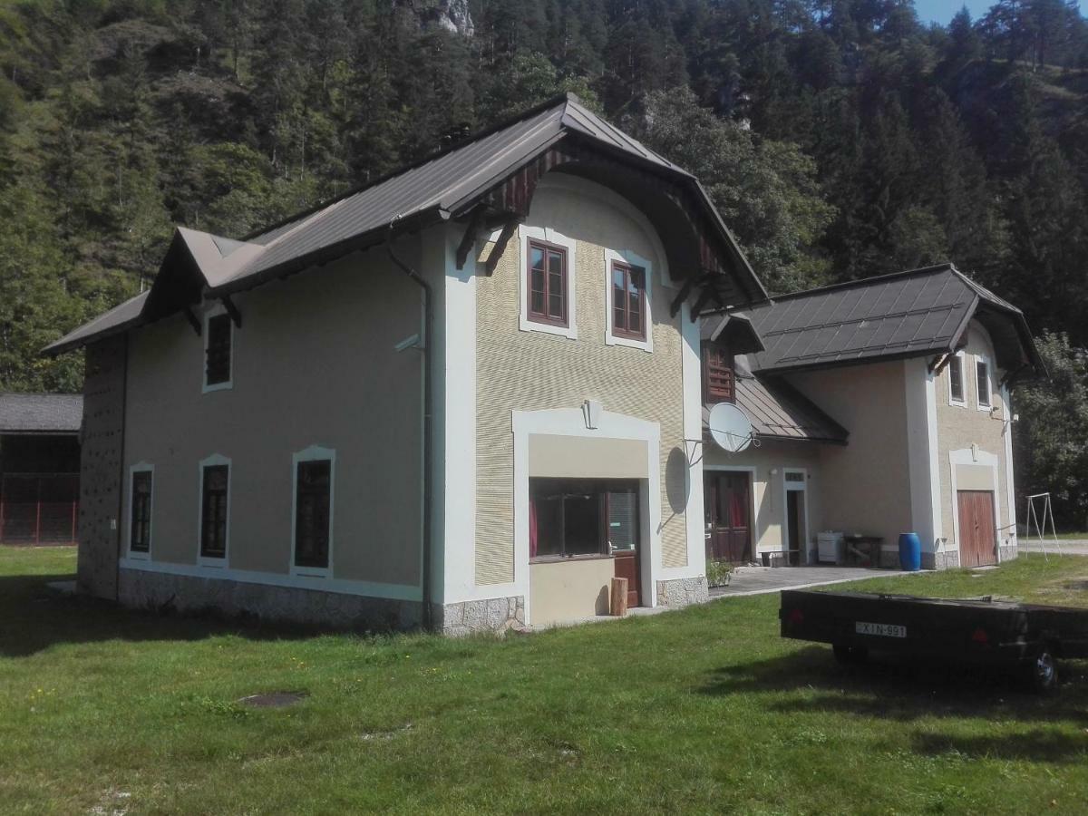Penzion Black Sheeps Adventures Wildalpen Εξωτερικό φωτογραφία
